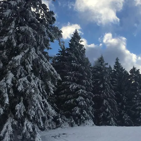 Huis Bij Willingen 度假居