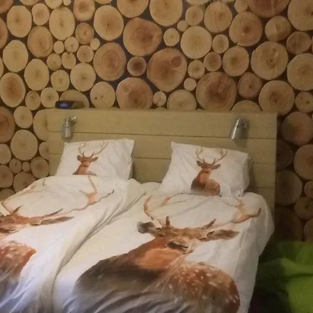 Prázdninový dům Huis Bij Willingen *